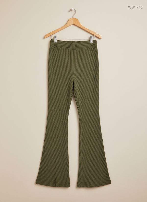 Shein (WWT-75)